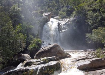 Monumento Cultural Ceibal, otro destino de la Ruta del Mundo Maya./Foto: SIC/MCD.