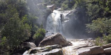 Monumento Cultural Ceibal, otro destino de la Ruta del Mundo Maya./Foto: SIC/MCD.