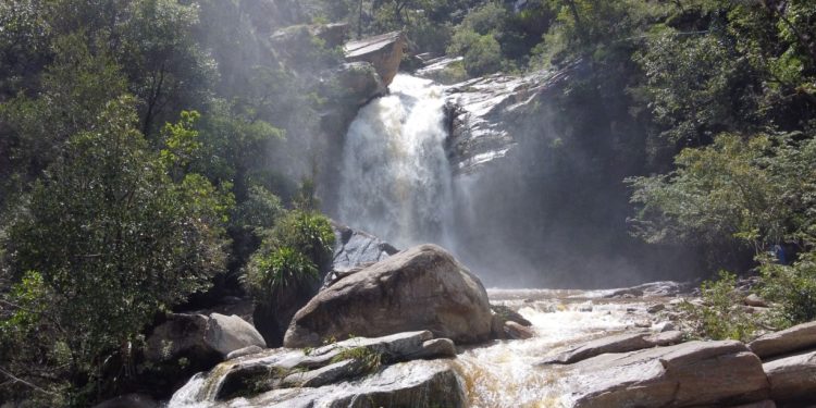 Monumento Cultural Ceibal, otro destino de la Ruta del Mundo Maya./Foto: SIC/MCD.