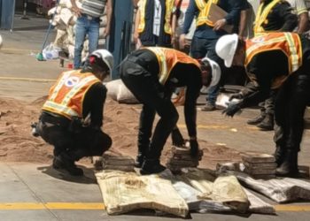 SGAIA localiza nuevo contenedor con más de 500 paquetes de posible droga ocultos en harina de coquillo