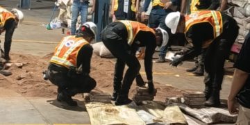 SGAIA localiza nuevo contenedor con más de 500 paquetes de posible droga ocultos en harina de coquillo