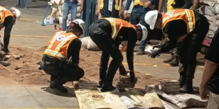 SGAIA localiza nuevo contenedor con más de 500 paquetes de posible droga ocultos en harina de coquillo