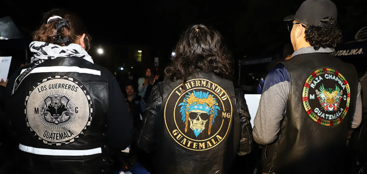 Provial juramentó a 112 hombres y mujeres como zorros guardianes, quienes culminaron satisfactoriamente un proceso de capacitación especializado en Seguridad Vial. / Foto: CIV.