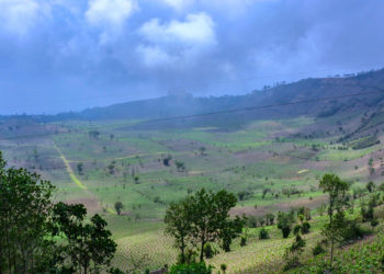 La vigilancia se realiza a través de la Dirección de Información Geográfica, Estratégica y Gestión de Riesgos. / Foto: MAGA