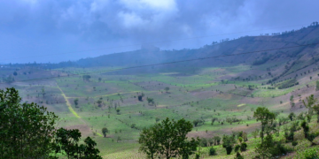 La vigilancia se realiza a través de la Dirección de Información Geográfica, Estratégica y Gestión de Riesgos. / Foto: MAGA