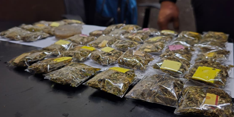 Detienen a narcomenudistas e incautan diferentes tipos de droga./Foto: PNC.