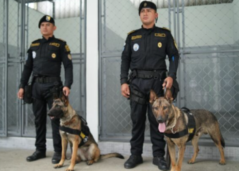 Binomios K-9, integrados por un guía y un perro policía, para la detección de narcóticos y sustancias ilícitas. / Foto: Mingob