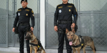 Binomios K-9, integrados por un guía y un perro policía, para la detección de narcóticos y sustancias ilícitas. / Foto: Mingob