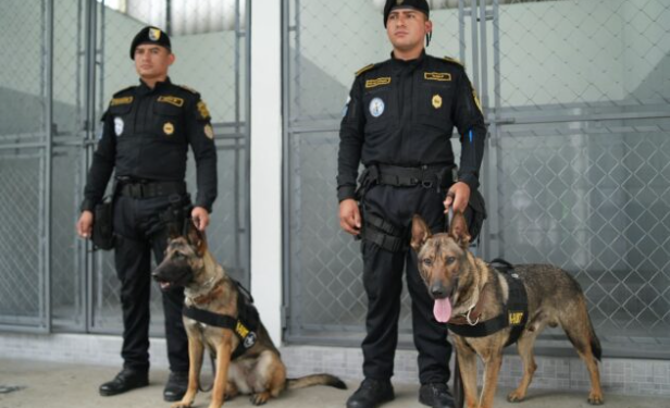 Binomios K-9, integrados por un guía y un perro policía, para la detección de narcóticos y sustancias ilícitas. / Foto: Mingob