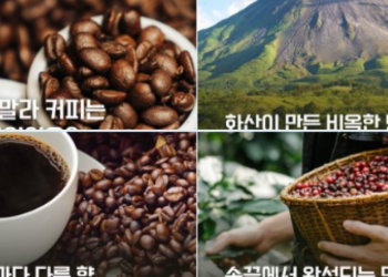 Consejería Comercial invita a descubrir el café de Guatemala en cafeterías coreanas