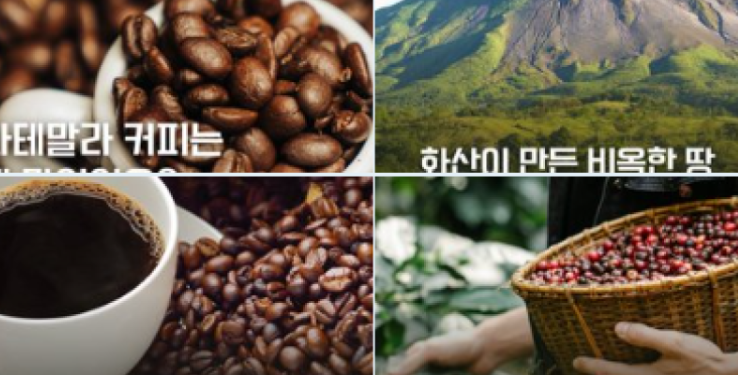 Consejería Comercial invita a descubrir el café de Guatemala en cafeterías coreanas