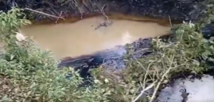 El ministerio señaló que la contaminación representa un riesgo ambiental y social considerable / Foto: comunidades afectadas.