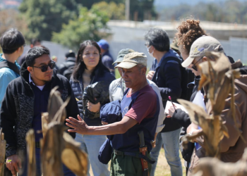 Becarios internacionales conocieron las técnicas de agricultura comercial de Guatemala./Foto: MAGA.