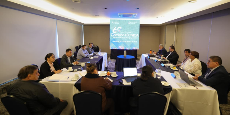 Guatemala presenta avances en exportación bovina y controles sanitarios ante OIRSA