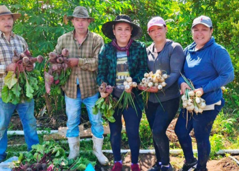 El programa opera mediante cooperativas de ahorro y crédito autorizadas, permitiendo que el financiamiento llegue de forma cercana y accesible a las comunidades rurales. / Foto: MAGA