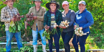 El programa opera mediante cooperativas de ahorro y crédito autorizadas, permitiendo que el financiamiento llegue de forma cercana y accesible a las comunidades rurales. / Foto: MAGA