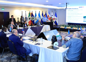 Los países miembros avanzaron en la consolidación de acuerdos técnicos orientados a prevenir riesgos sanitarios. / Foto: MAGA