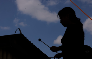 Plaza de la Constitución se llena de música de Marimba./Foto: Álex Jacinto.