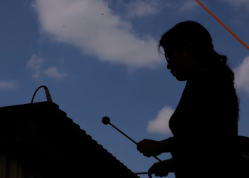 Plaza de la Constitución se llena de música de Marimba./Foto: Álex Jacinto.