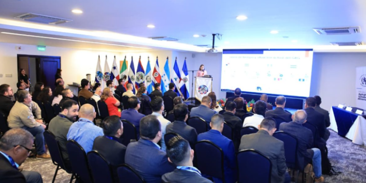 69 Comisión Técnica Mesa de Inocuidad del OIRSA / Foto: MAGA