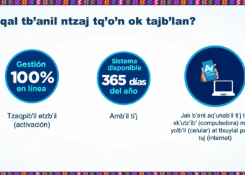 SAT ofrece capacitaciones en cinco idiomas mayas en forma virtual. / Foto: SAT.