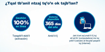 SAT ofrece capacitaciones en cinco idiomas mayas en forma virtual. / Foto: SAT.