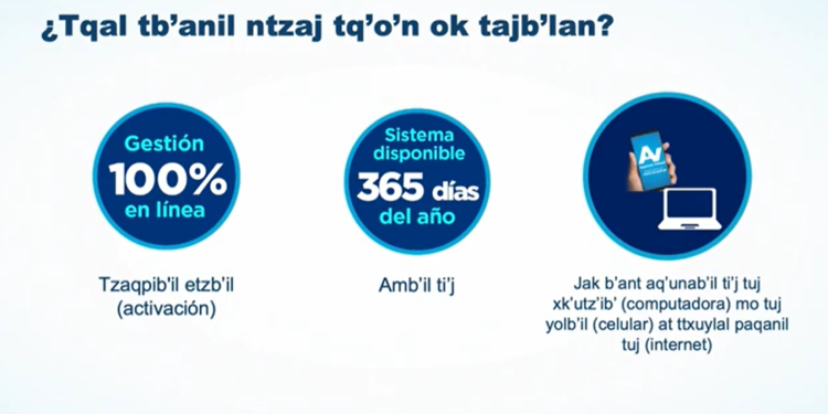 SAT ofrece capacitaciones en cinco idiomas mayas en forma virtual. / Foto: SAT.
