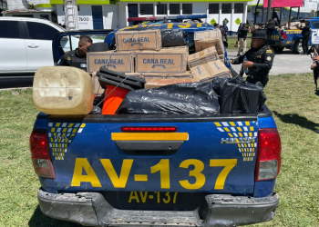 La Dipafront mantiene vigilancia constante en puertos, aeropuertos y puestos fronterizos, considerados puntos clave para el ingreso de productos ilícitos. / Foto: PNC