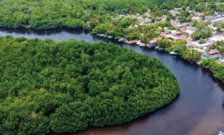 Parque Nacional Sipacate-Naranjo: Foto: Conap.