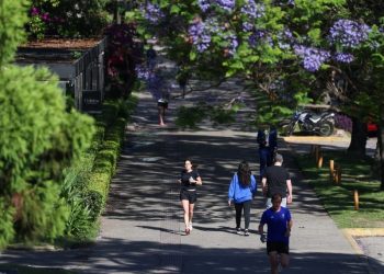 Estudio permite descubrir por qué las personas se sienten mejor cuando hacen ejercicio de manera regular.
