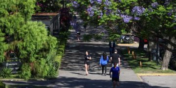 Estudio permite descubrir por qué las personas se sienten mejor cuando hacen ejercicio de manera regular.
