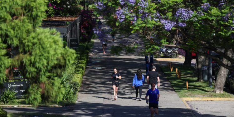 Estudio permite descubrir por qué las personas se sienten mejor cuando hacen ejercicio de manera regular.