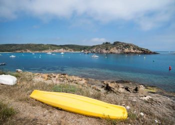 El estudio documentó el aumento de la temperatura (tropicalización) de las aguas del mar Mediterráneo.