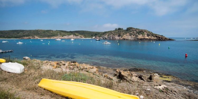 El estudio documentó el aumento de la temperatura (tropicalización) de las aguas del mar Mediterráneo.