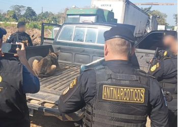Con ayuda de un agente K-9, se detectaron las anomalías en el vehículo. / Foto: PNC.
