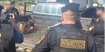 Con ayuda de un agente K-9, se detectaron las anomalías en el vehículo. / Foto: PNC.