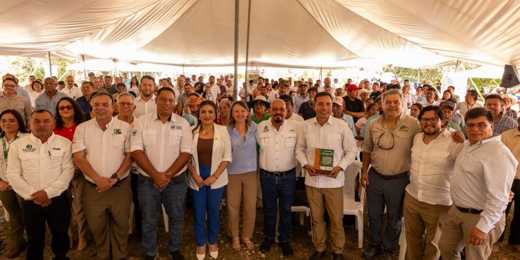 Entregan bonos de carbono por reducción de emisiones a comunidades forestales de Petén. (Foto: Conap)