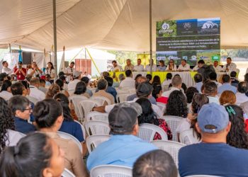 Comunidades reciben beneficio del Programa de Reducción de Emisiones en la Reserva de Biosfera Maya