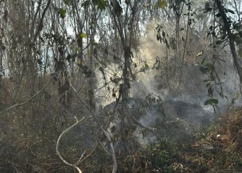 Llamado a la responsabilidad para la prevención de incendios en Santa Rosa