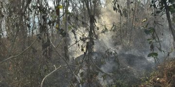 Llamado a la responsabilidad para la prevención de incendios en Santa Rosa