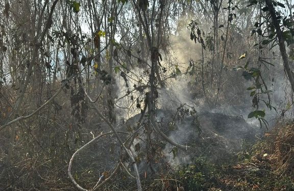 Llamado a la responsabilidad para la prevención de incendios en Santa Rosa