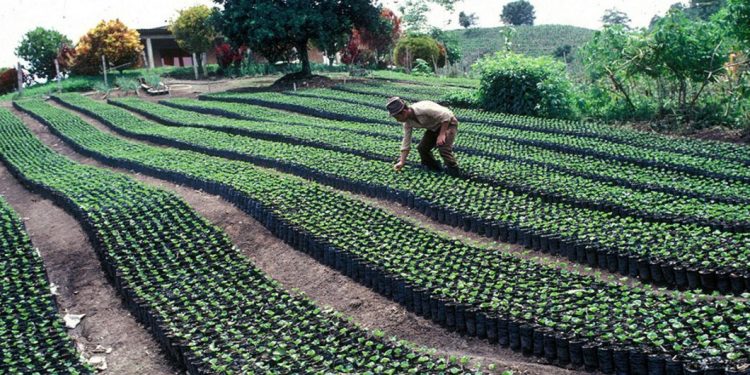 De acuerdo con el informe, se necesita el diseño de políticas públicas que permitan modernizar y tecnificar la agricultura para enfrentar los desafíos que se avecinan.