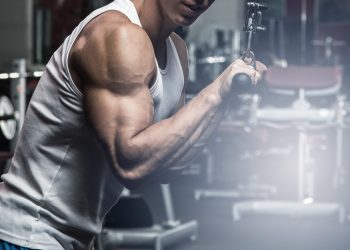 La bacteria se asocia con una mayor fuerza muscular, por lo que se prevé que pueda usarse como probióticos para personas de edad avanzada.