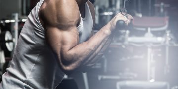 La bacteria se asocia con una mayor fuerza muscular, por lo que se prevé que pueda usarse como probióticos para personas de edad avanzada.