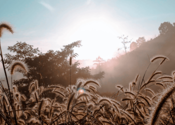 Altas temperaturas prevalecerán durante el fin de semana./Foto: Archivo.