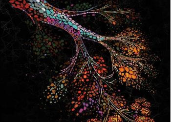 Ilustración recrea los cambios que se producen en las células mamarias a medida que envejecen.