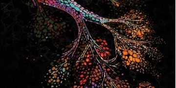 Ilustración recrea los cambios que se producen en las células mamarias a medida que envejecen.