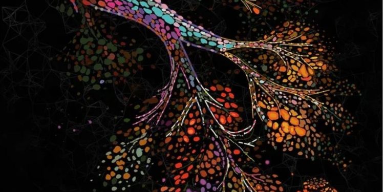 Ilustración recrea los cambios que se producen en las células mamarias a medida que envejecen.