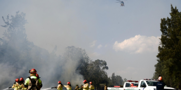 Desarrollan III Simulacro Nacional de Incendios Forestales./Foto CIV.