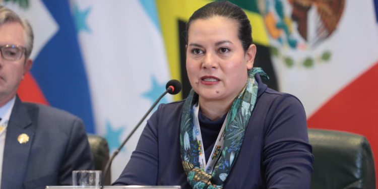 La ministra de Agricultura afirmó que en la conferencia regional de la FAO intercambió experiencias con otros países./Foto: Edgar Marra FAO.